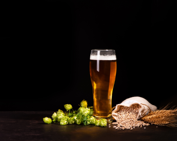 Glas Bier neben Gerste, Weizen und Hopfen vor dunklem Hintergrund