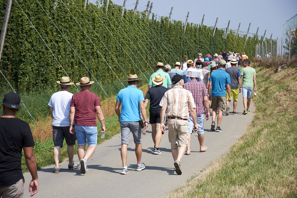 Tettnanger Hopfenwandertag