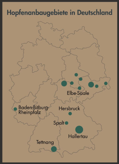 Die Karte zeigt die sechs Hopfenanbaugebiete in Deutschland: Hallertau, Tettnang, Spalt, Elbe-Saale, Hersbruck und Baden-Bitburg-Rheinpfalz mit ihrer ungefähren Größe und Lage.