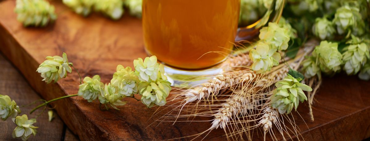 Hopfen und Malz