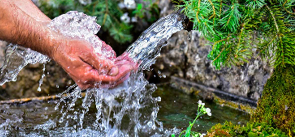 brauwasser