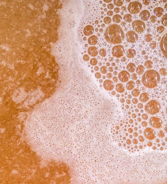 Bierwissen – Beitragsbild Bierhefe